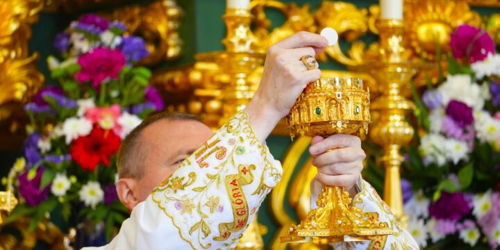 Neu! Warum bestehen die eucharistischen Wunder fort, trotz des Abfalls von Rom?